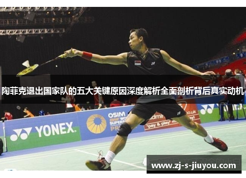 陶菲克退出国家队的五大关键原因深度解析全面剖析背后真实动机