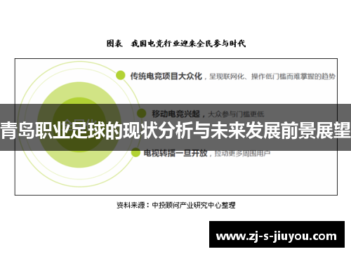青岛职业足球的现状分析与未来发展前景展望 青岛职业足球的现状分析与未来发展前景展望