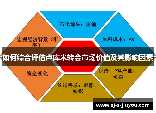 如何综合评估卢库米转会市场价值及其影响因素