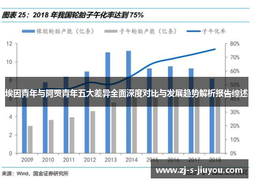 埃因青年与阿贾青年五大差异全面深度对比与发展趋势解析报告综述 埃因青年与阿贾青年五大差异全面深度对比与发展趋势解析报告综述